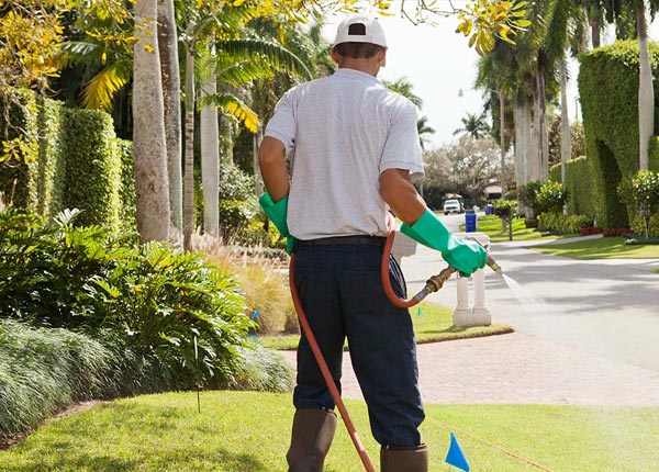 About Van Buren IN Pest Control